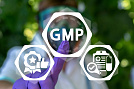GMP. Тренд или необходимость?